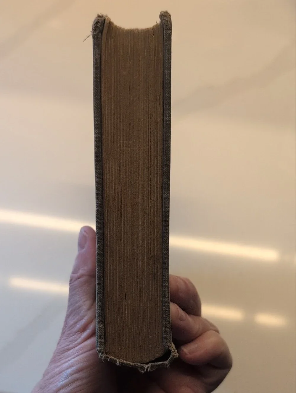Vintage 1922 My Northern Exposure 1st Ed Antique Book Rare Collectible UNIQUE